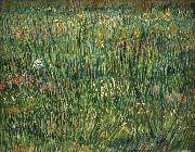 Vincent Van Gogh Patch of Grass china oil painting artist